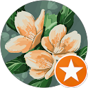 Profilbild von „Verena Wesche“